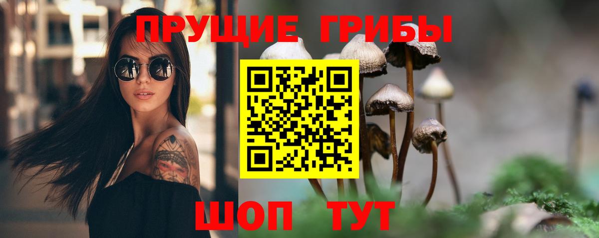 Галлюциногенные грибы GOLDEN TEACHER  Галлюциногенные грибы GOLDEN TEACHER  Вход с VPN  Бузулук 